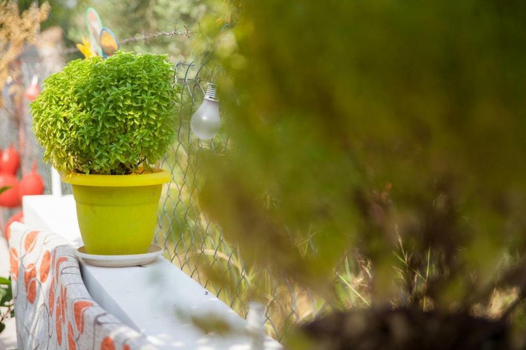 Marmaron Rooms Agiokampos  Dış mekan fotoğraf