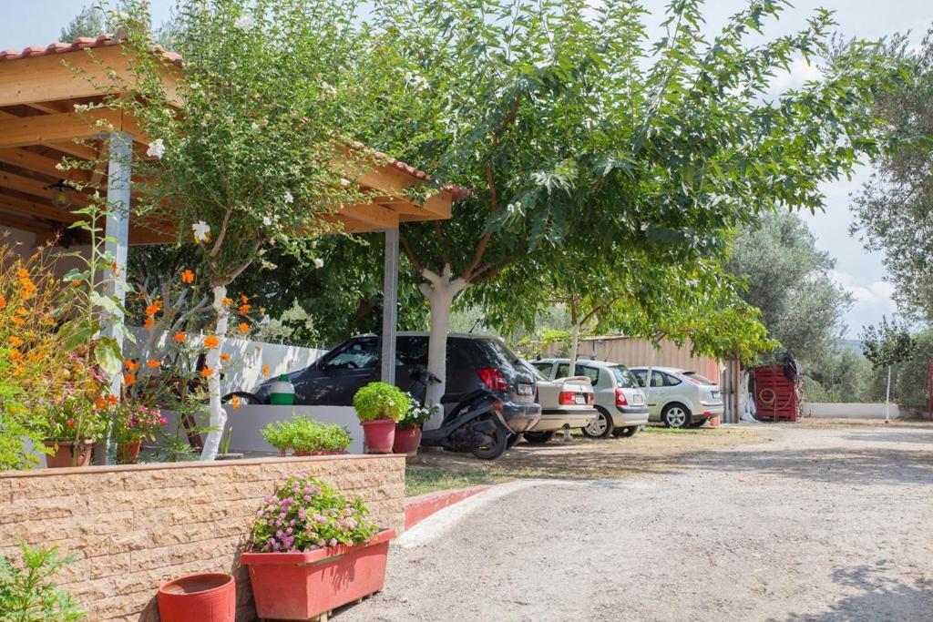 Marmaron Rooms Agiokampos  Dış mekan fotoğraf